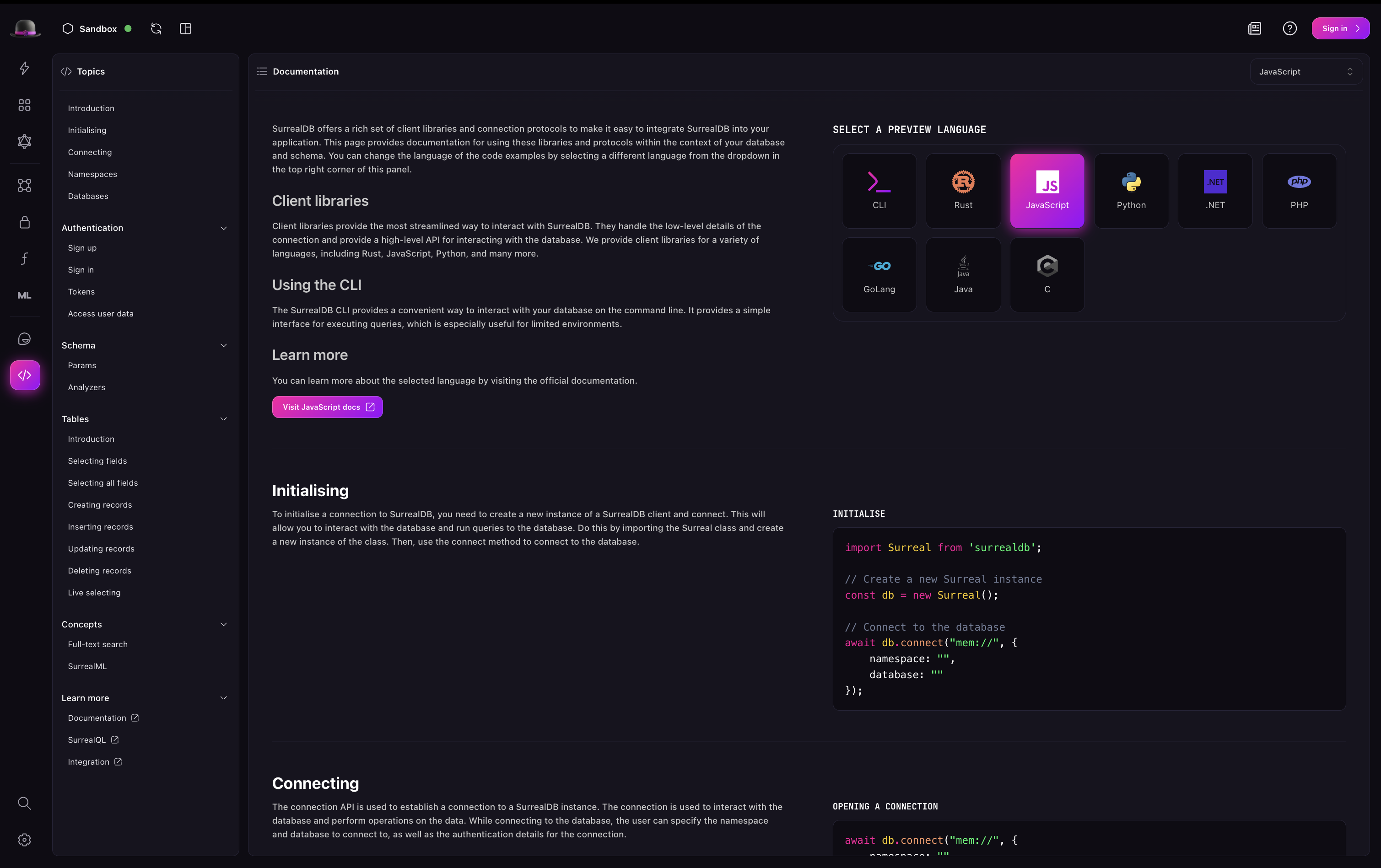 Surrealist API Docs view